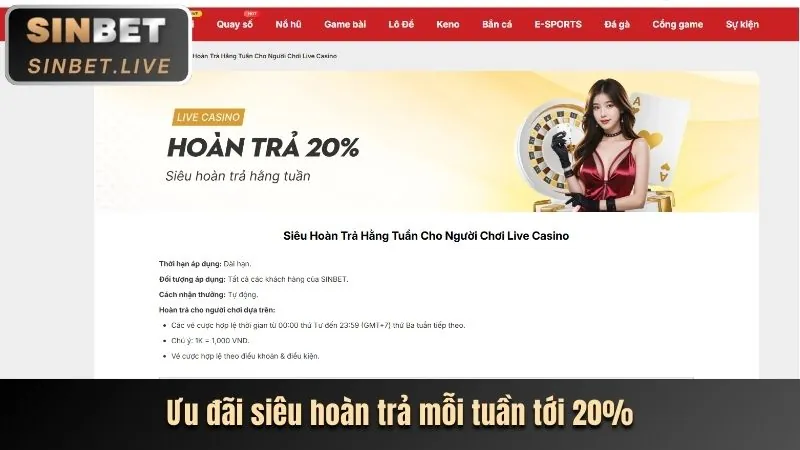 Không ngừng học hỏi kinh nghiệm